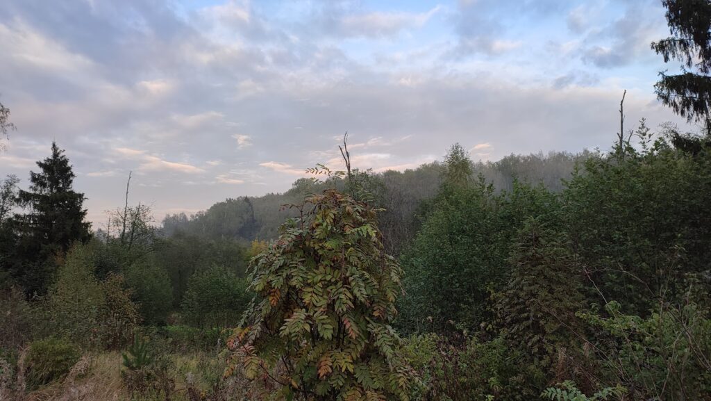 Туры на Алтай, горнолыжные туры в красную поляну