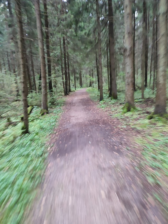 Велг маршрут по Истре для новичков