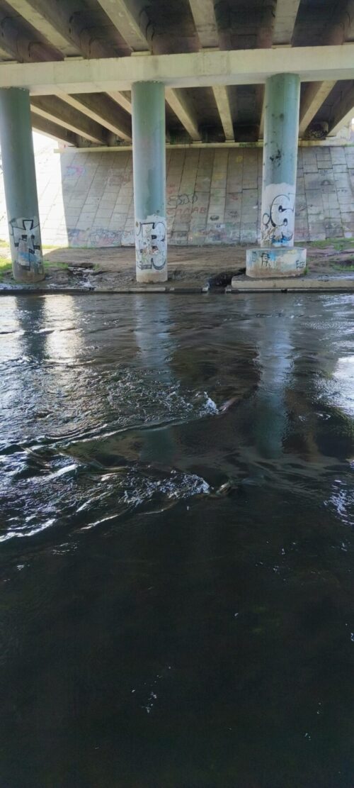 IMG_20250718_110224_590